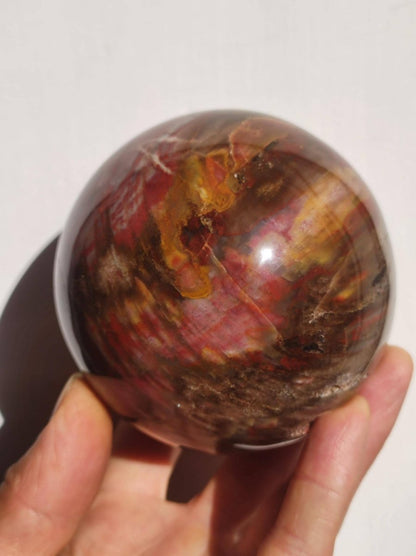 Versteinertes Holz - XXL Edelstein Kugel Natur Heilstein Deko Sphere Sammler Wohn Natur Qualität Selten Rarität Geschenk Mann Frau Er Sie - Art of Nature Berlin