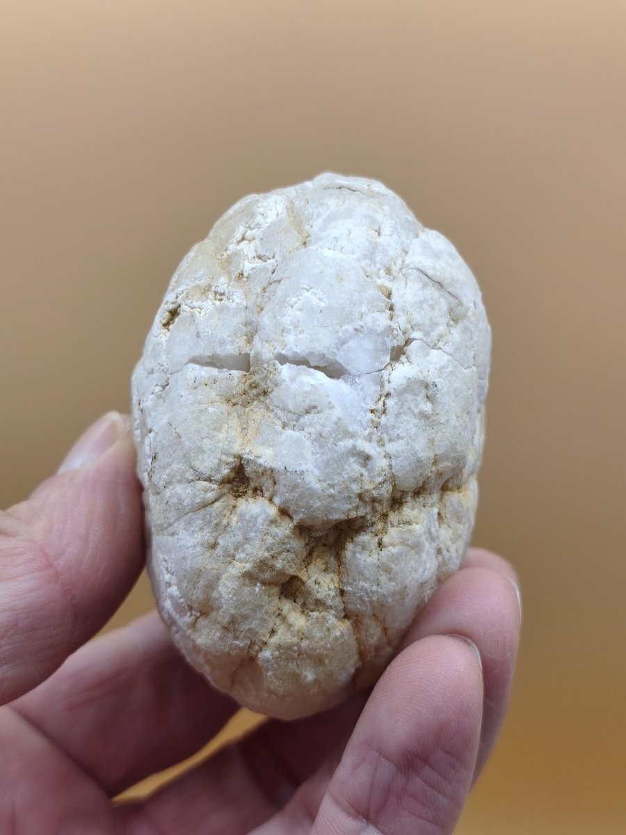 Weiße Calcit-Geode Ei Zweiteilige Kristallgeode mit glitzernder Kristallhöhle Mineralien Kristall Deko Geschenk Haus Wohnen Energie Unikat - Art of Nature Berlin