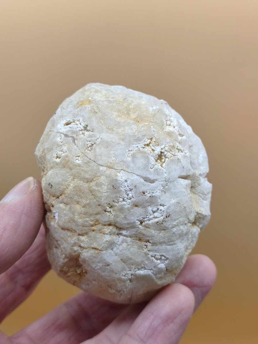 Weiße Calcit-Geode Ei Zweiteilige Kristallgeode mit glitzernder Kristallhöhle Mineralien Kristall Deko Geschenk Haus Wohnen Energie Unikat - Art of Nature Berlin