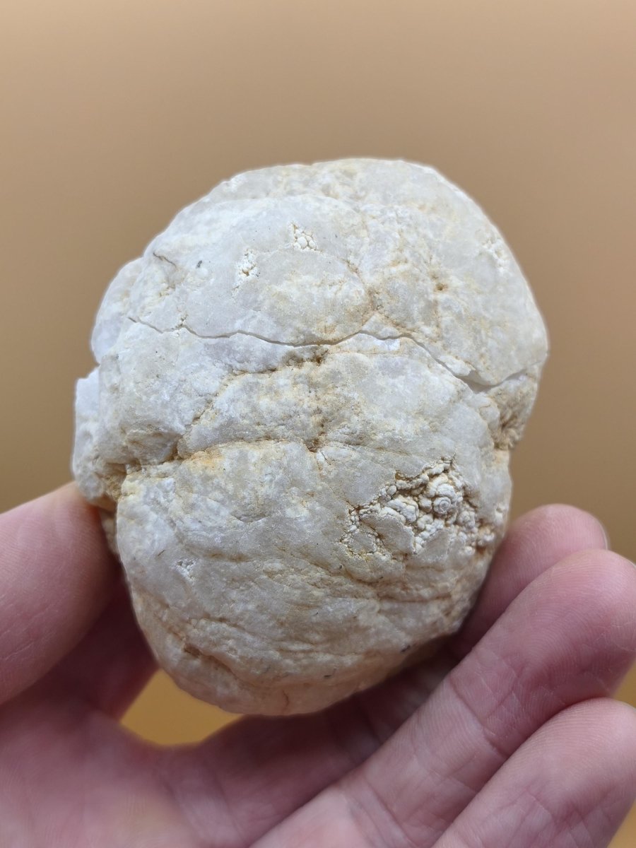 Weiße Calcit-Geode Ei Zweiteilige Kristallgeode mit glitzernder Kristallhöhle Mineralien Kristall Deko Geschenk Haus Wohnen Energie Unikat - Art of Nature Berlin