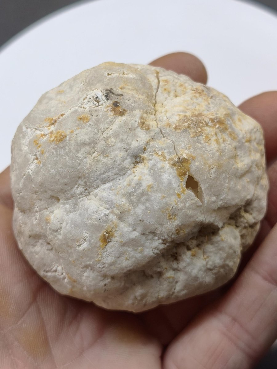 Weiße Calcit-Geode – Zweiteilige Kristallgeode mit glitzernder Kristallhöhle Mineralien Kristall Deko Geschenk Haus Wohnen Energie Unikat - Art of Nature Berlin