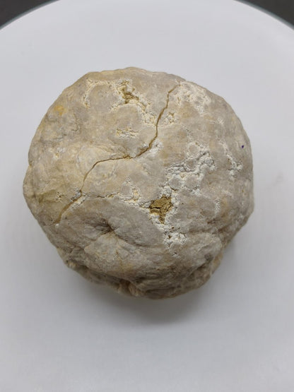 Weiße Calcit-Geode – Zweiteilige Kristallgeode mit glitzernder Kristallhöhle Mineralien Kristall Deko Geschenk Haus Wohnen Energie Unikat - Art of Nature Berlin