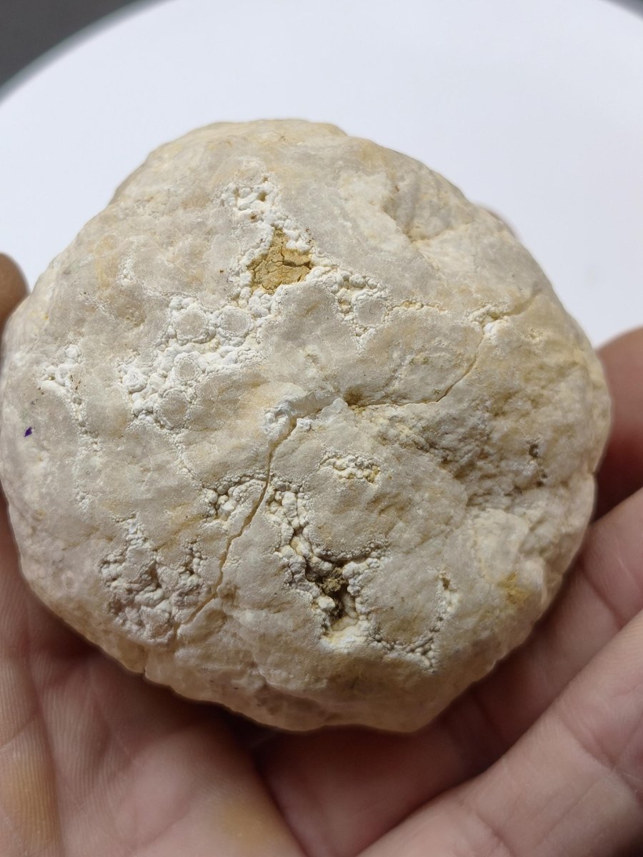 Weiße Calcit-Geode – Zweiteilige Kristallgeode mit glitzernder Kristallhöhle Mineralien Kristall Deko Geschenk Haus Wohnen Energie Unikat - Art of Nature Berlin