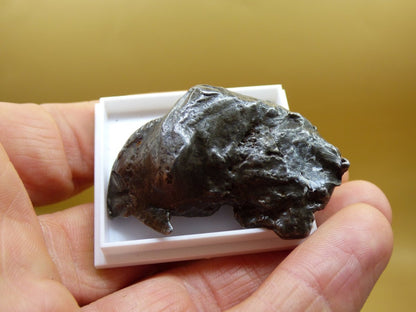 XL (46g) Sichote Alin Meteorit Sammler Rarität Universum All Energie Spirituell Kraft Russland - Art of Nature Berlin