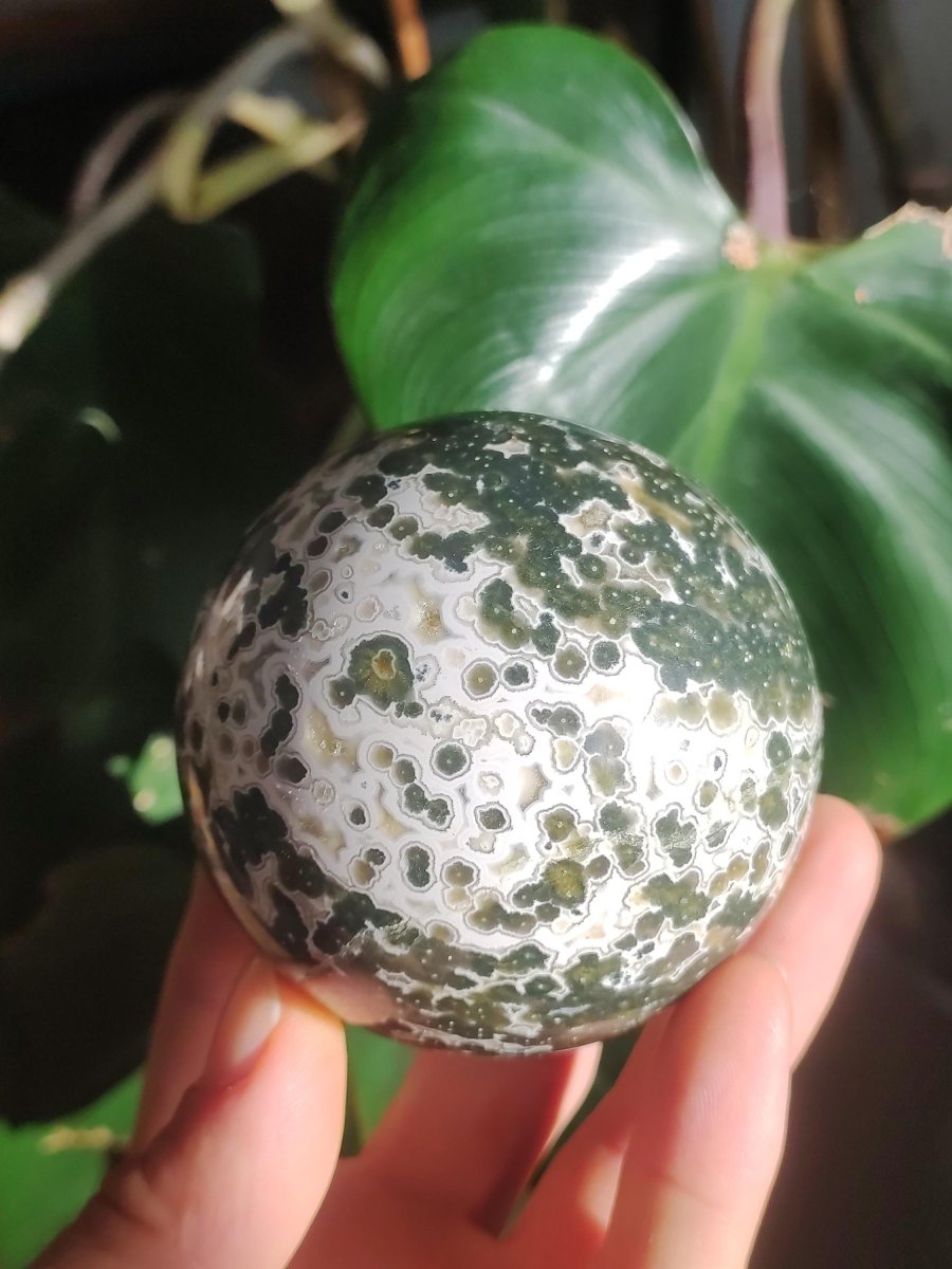 XL 8 Adern Ocean Jaspis Orbicular grün - Edelstein Kugel Natur Heilstein Deko Kristall Geschenk Er Sie Mann Frau Haus Wohnung Energie Selten - Art of Nature Berlin