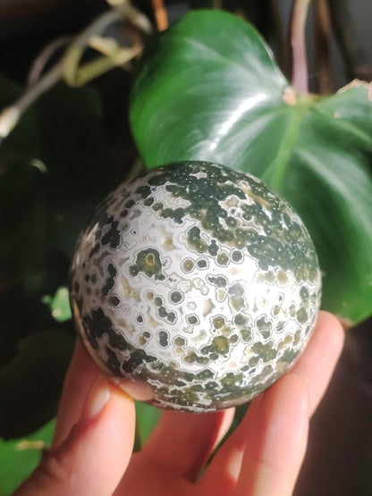 XL 8 Adern Ocean Jaspis Orbicular grün - Edelstein Kugel Natur Heilstein Deko Kristall Geschenk Er Sie Mann Frau Haus Wohnung Energie Selten - Art of Nature Berlin