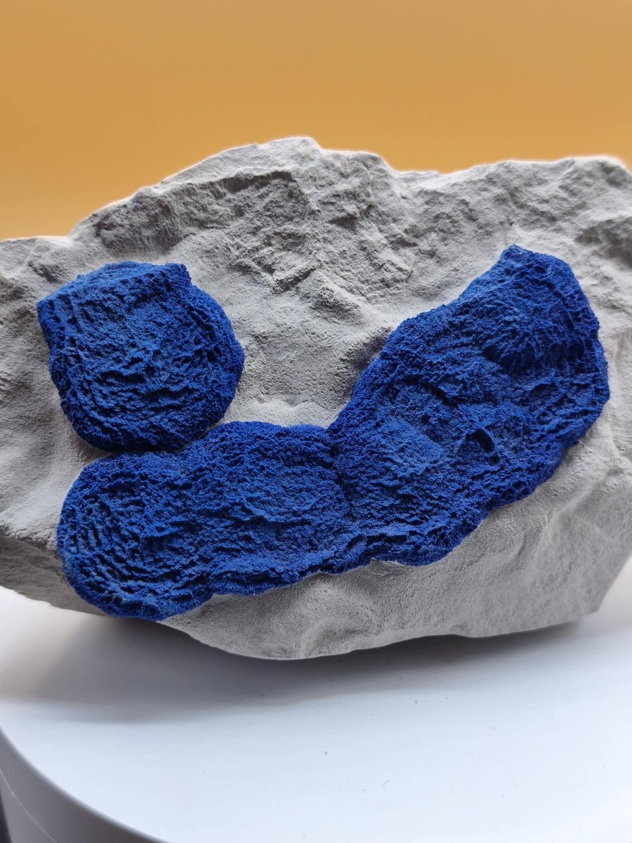 XL Azurit-Sonnen auf heller Matrix - intensiv blaue Mineralstufe 125 × 77 mm Edelstein Mineral Natur Energie Heilstein Groß Unikat Rarität - Art of Nature Berlin