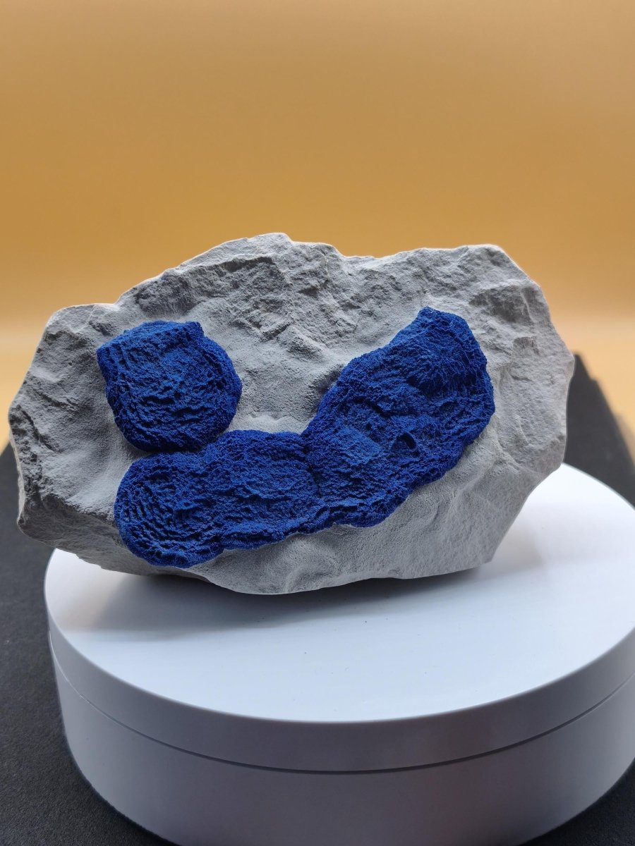 XL Azurit-Sonnen auf heller Matrix - intensiv blaue Mineralstufe 125 × 77 mm Edelstein Mineral Natur Energie Heilstein Groß Unikat Rarität - Art of Nature Berlin