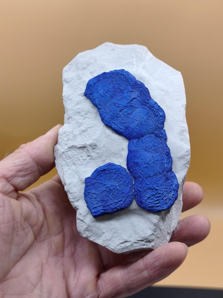 XL Azurit-Sonnen auf heller Matrix - intensiv blaue Mineralstufe 125 × 77 mm Edelstein Mineral Natur Energie Heilstein Groß Unikat Rarität - Art of Nature Berlin
