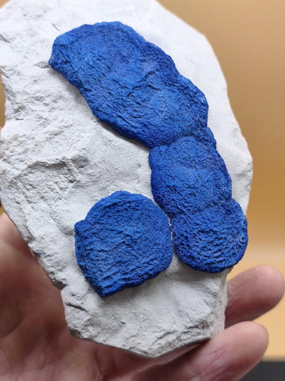 XL Azurit-Sonnen auf heller Matrix - intensiv blaue Mineralstufe 125 × 77 mm Edelstein Mineral Natur Energie Heilstein Groß Unikat Rarität - Art of Nature Berlin