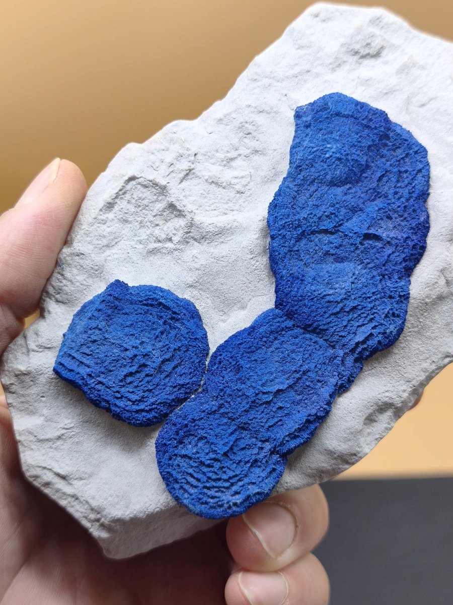 XL Azurit-Sonnen auf heller Matrix - intensiv blaue Mineralstufe 125 × 77 mm Edelstein Mineral Natur Energie Heilstein Groß Unikat Rarität - Art of Nature Berlin