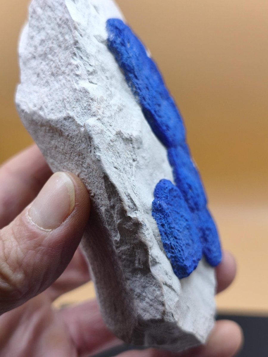 XL Azurit-Sonnen auf heller Matrix - intensiv blaue Mineralstufe 125 × 77 mm Edelstein Mineral Natur Energie Heilstein Groß Unikat Rarität - Art of Nature Berlin
