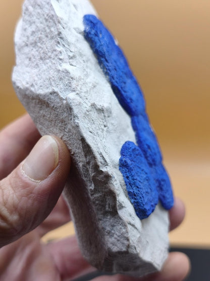 XL Azurit-Sonnen auf heller Matrix - intensiv blaue Mineralstufe 125 × 77 mm Edelstein Mineral Natur Energie Heilstein Groß Unikat Rarität - Art of Nature Berlin