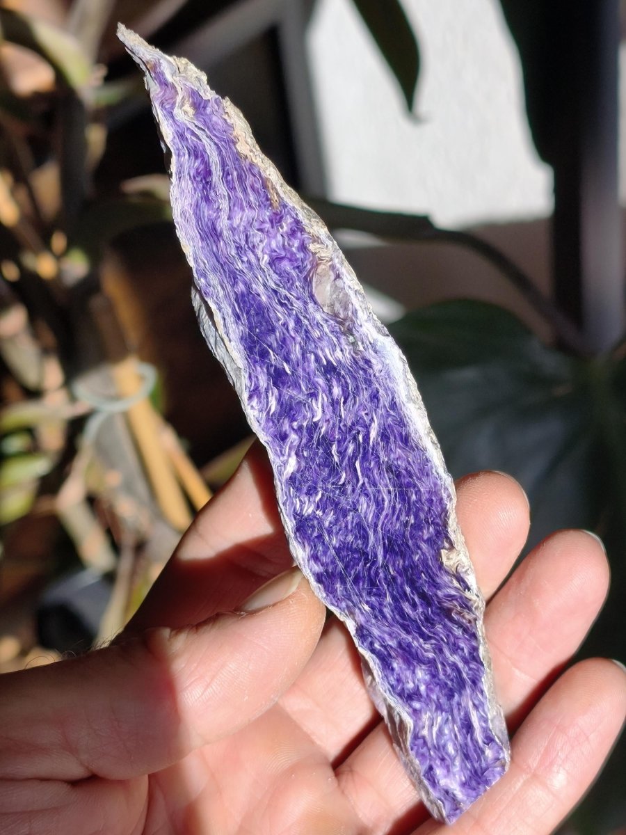 XL Charoit Stufe mit Anschliff – Sammler Unikat mit violetter Maserung Russland Heilstein Unikat Sammler Deko Kristall Mineralien Geschenk - Art of Nature Berlin