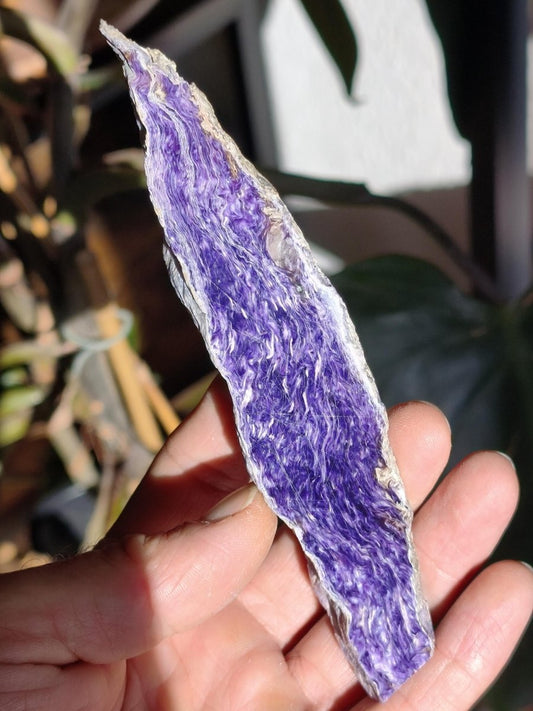 XL Charoit Stufe mit Anschliff – Sammler Unikat mit violetter Maserung Russland Heilstein Unikat Sammler Deko Kristall Mineralien Geschenk - Art of Nature Berlin