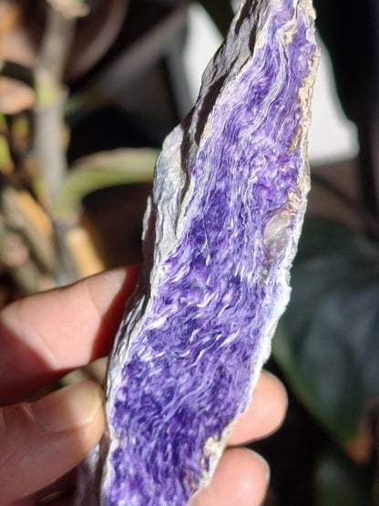 XL Charoit Stufe mit Anschliff – Sammler Unikat mit violetter Maserung Russland Heilstein Unikat Sammler Deko Kristall Mineralien Geschenk - Art of Nature Berlin