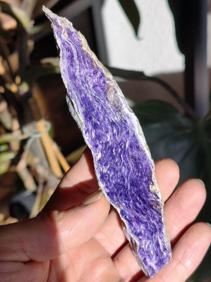 XL Charoit Stufe mit Anschliff – Sammler Unikat mit violetter Maserung Russland Heilstein Unikat Sammler Deko Kristall Mineralien Geschenk - Art of Nature Berlin
