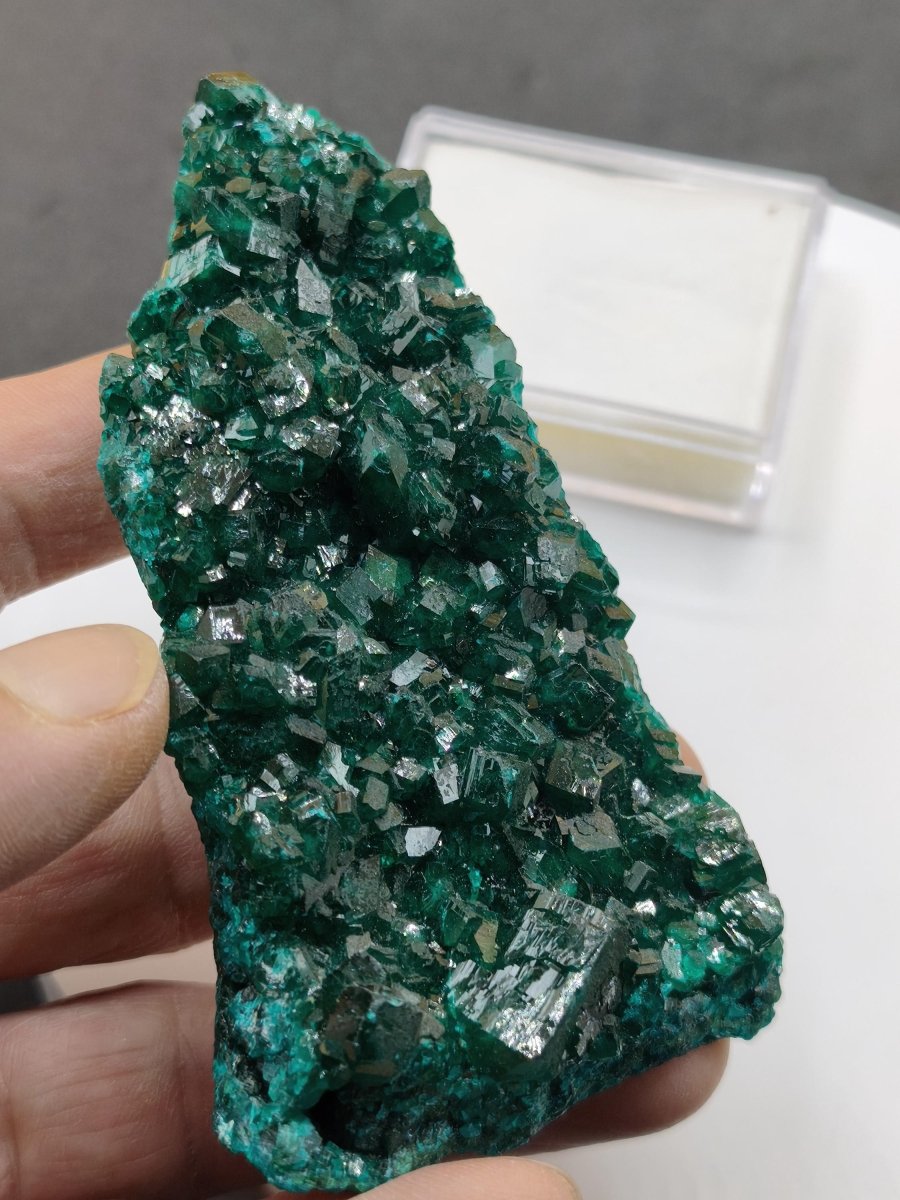XL Dioptas Kristallstufe AAA aus dem Kongo 607ct/121g– Intensives Smaragdgrün – Großes Sammlerstück Mineral Kristalle Geschenk Unikat Selten - Art of Nature Berlin