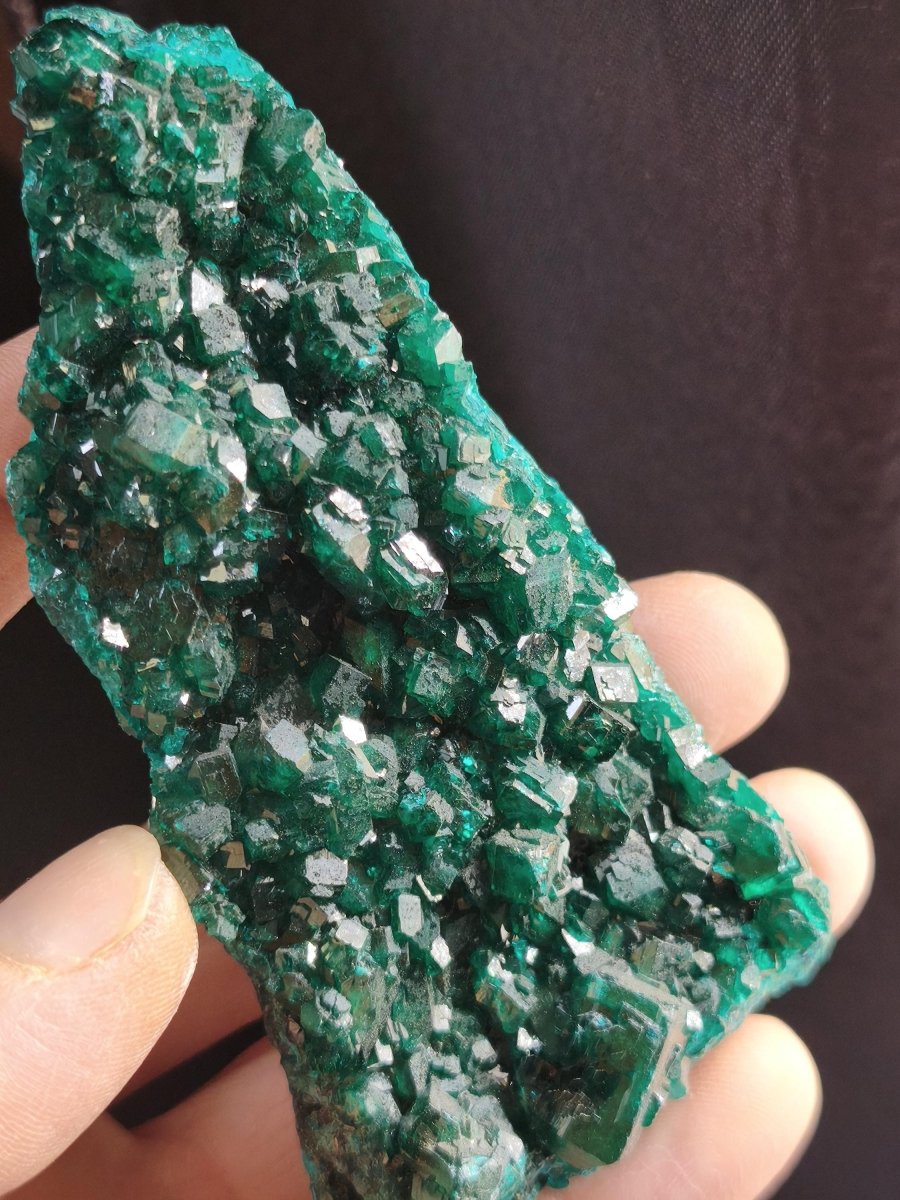 XL Dioptas Kristallstufe AAA aus dem Kongo 607ct/121g– Intensives Smaragdgrün – Großes Sammlerstück Mineral Kristalle Geschenk Unikat Selten - Art of Nature Berlin