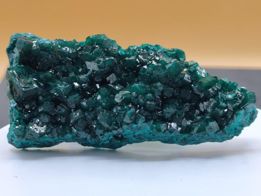 XL Dioptas Kristallstufe AAA aus dem Kongo 607ct/121g– Intensives Smaragdgrün – Großes Sammlerstück Mineral Kristalle Geschenk Unikat Selten - Art of Nature Berlin