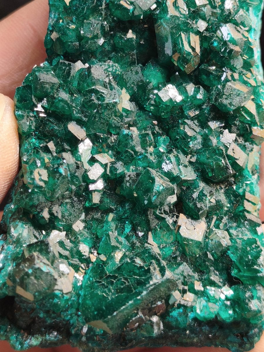 XL Dioptas Kristallstufe AAA aus dem Kongo 607ct/121g– Intensives Smaragdgrün – Großes Sammlerstück Mineral Kristalle Geschenk Unikat Selten - Art of Nature Berlin