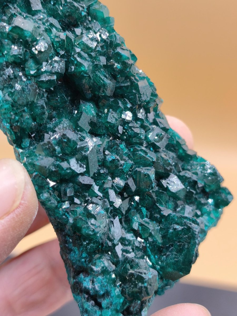 XL Dioptas Kristallstufe AAA aus dem Kongo 607ct/121g– Intensives Smaragdgrün – Großes Sammlerstück Mineral Kristalle Geschenk Unikat Selten - Art of Nature Berlin