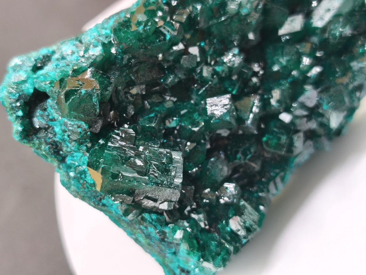 XL Dioptas Kristallstufe AAA aus dem Kongo 607ct/121g– Intensives Smaragdgrün – Großes Sammlerstück Mineral Kristalle Geschenk Unikat Selten - Art of Nature Berlin