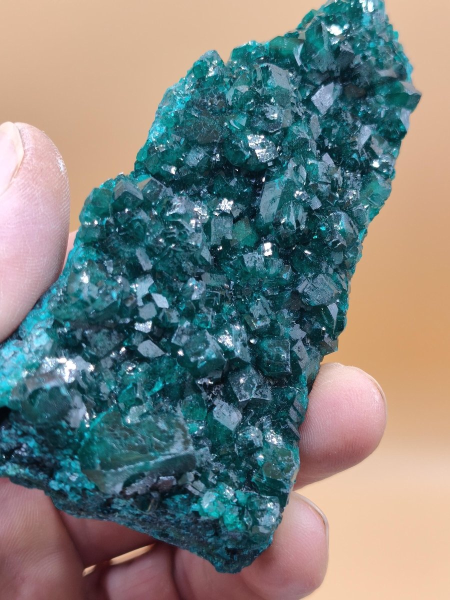 XL Dioptas Kristallstufe AAA aus dem Kongo 607ct/121g– Intensives Smaragdgrün – Großes Sammlerstück Mineral Kristalle Geschenk Unikat Selten - Art of Nature Berlin