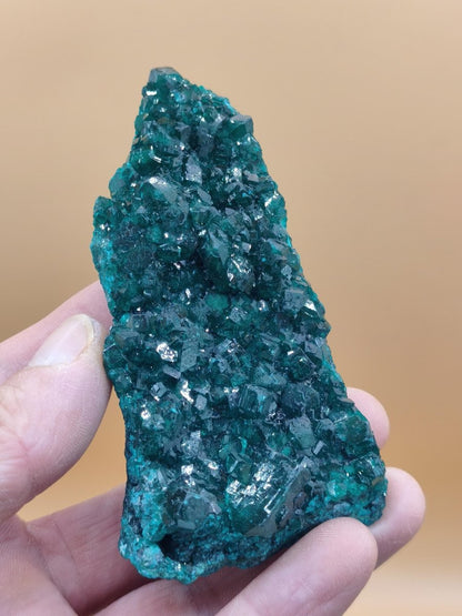 XL Dioptas Kristallstufe AAA aus dem Kongo 607ct/121g– Intensives Smaragdgrün – Großes Sammlerstück Mineral Kristalle Geschenk Unikat Selten - Art of Nature Berlin