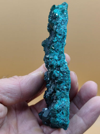XL Dioptas Kristallstufe AAA aus dem Kongo 607ct/121g– Intensives Smaragdgrün – Großes Sammlerstück Mineral Kristalle Geschenk Unikat Selten - Art of Nature Berlin