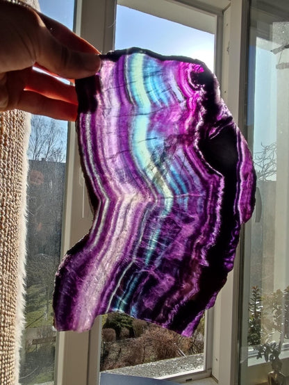 XL Fluorit Regenbogen Edelstein Scheibe Deko Kristall Fensterbank Haus Deko Sonne Wohnen Energie Heilstein Geschenk Sie Bunt Natur Rarität - Art of Nature Berlin