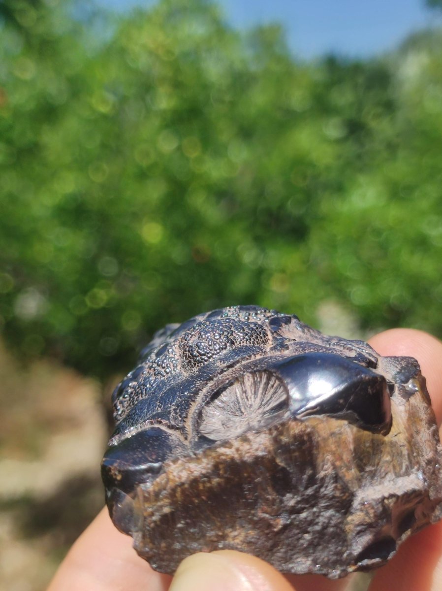 XL Hämatit Hematit Roh Stufe Marokko Dekostück Sammler Mineral Edelstein Rarität HIPPIE GOA Boho Ethno Heilstein Geschenk Schutz Haus Wohnen - Art of Nature Berlin
