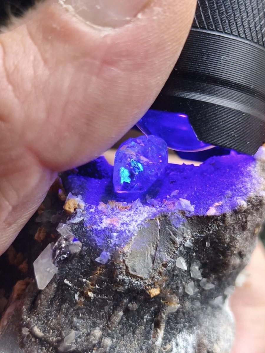 XL Libellenquarz Septarie mit Diamantquarz & UV-Fluoreszenz Frankreich 60mm Kristall Sammler Stufe Heilstein Edelstein Mineral Unikat Selten - Art of Nature Berlin