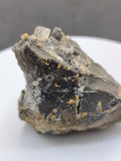 XL Libellenquarz Septarie mit Diamantquarz & UV-Fluoreszenz Frankreich 60mm Kristall Sammler Stufe Heilstein Edelstein Mineral Unikat Selten - Art of Nature Berlin