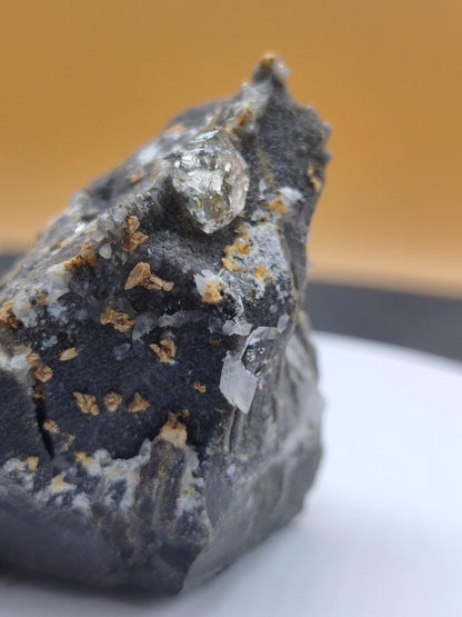 XL Libellenquarz Septarie mit Diamantquarz & UV-Fluoreszenz Frankreich 60mm Kristall Sammler Stufe Heilstein Edelstein Mineral Unikat Selten - Art of Nature Berlin