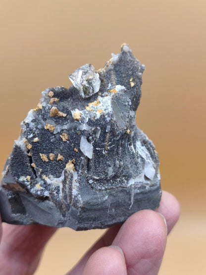 XL Libellenquarz Septarie mit Diamantquarz & UV-Fluoreszenz Frankreich 60mm Kristall Sammler Stufe Heilstein Edelstein Mineral Unikat Selten - Art of Nature Berlin