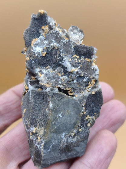 XL Libellenquarz Septarie mit Diamantquarz & UV-Fluoreszenz Frankreich 60mm Kristall Sammler Stufe Heilstein Edelstein Mineral Unikat Selten - Art of Nature Berlin