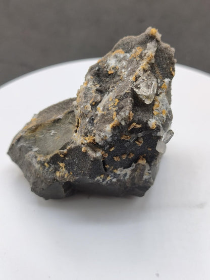 XL Libellenquarz Septarie mit Diamantquarz & UV-Fluoreszenz Frankreich 60mm Kristall Sammler Stufe Heilstein Edelstein Mineral Unikat Selten - Art of Nature Berlin
