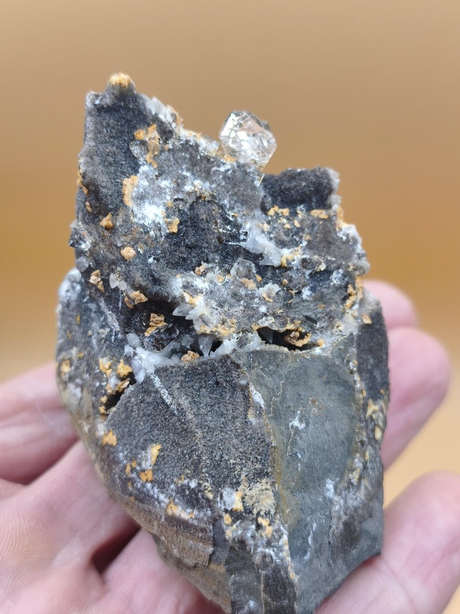 XL Libellenquarz Septarie mit Diamantquarz & UV-Fluoreszenz Frankreich 60mm Kristall Sammler Stufe Heilstein Edelstein Mineral Unikat Selten - Art of Nature Berlin