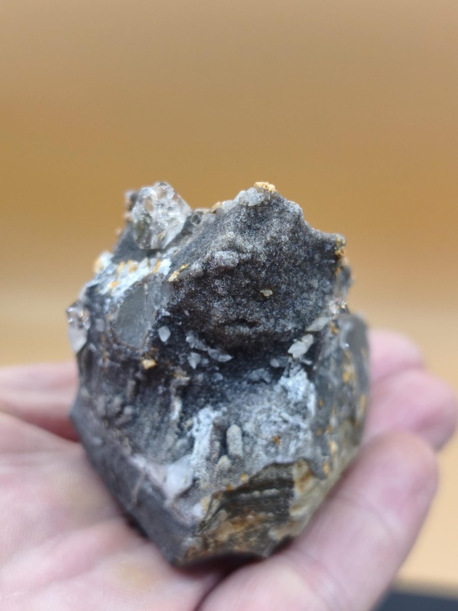 XL Libellenquarz Septarie mit Diamantquarz & UV-Fluoreszenz Frankreich 60mm Kristall Sammler Stufe Heilstein Edelstein Mineral Unikat Selten - Art of Nature Berlin