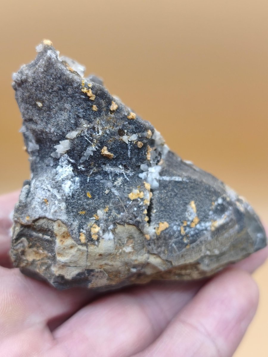 XL Libellenquarz Septarie mit Diamantquarz & UV-Fluoreszenz Frankreich 60mm Kristall Sammler Stufe Heilstein Edelstein Mineral Unikat Selten - Art of Nature Berlin