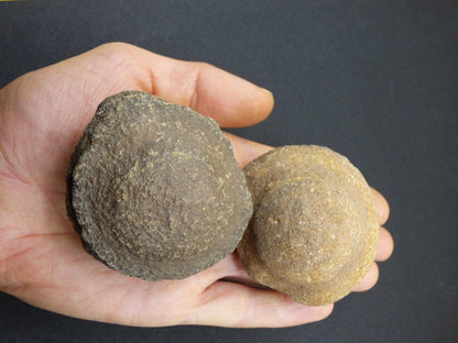 XL Moqui Marbles ~ lebende Edelsteine ~ Indianer Schamanenstein ~HIPPIE ~GOA ~Boho ~Ethno ~Nature ~Heilstein ~Energy ~Chakra - Art of Nature Berlin