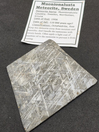 XL Muonionalusta Meteorit – Große Eisenmeteoriten-Scheibe aus Schweden | 34,5 g Sammler Selten Geschenk - Art of Nature Berlin