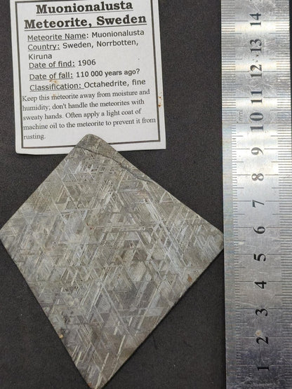 XL Muonionalusta Meteorit – Große Eisenmeteoriten-Scheibe aus Schweden | 34,5 g Sammler Selten Geschenk - Art of Nature Berlin