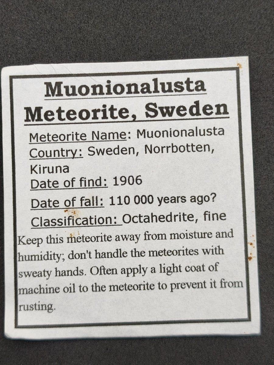 XL Muonionalusta Meteorit – Große Eisenmeteoriten-Scheibe aus Schweden | 34,5 g Sammler Selten Geschenk - Art of Nature Berlin