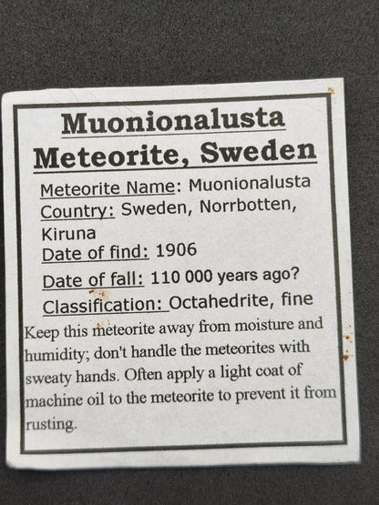 XL Muonionalusta Meteorit – Große Eisenmeteoriten-Scheibe aus Schweden | 34,5 g Sammler Selten Geschenk - Art of Nature Berlin