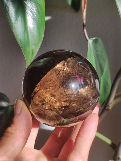 XL Rauchquarz AAA Smokey Quarz Regenbogen Magische Edelstein Sammler Kugel Deko Sphere Kristall Heilstein Meditation Rarität Besonders Groß - Art of Nature Berlin