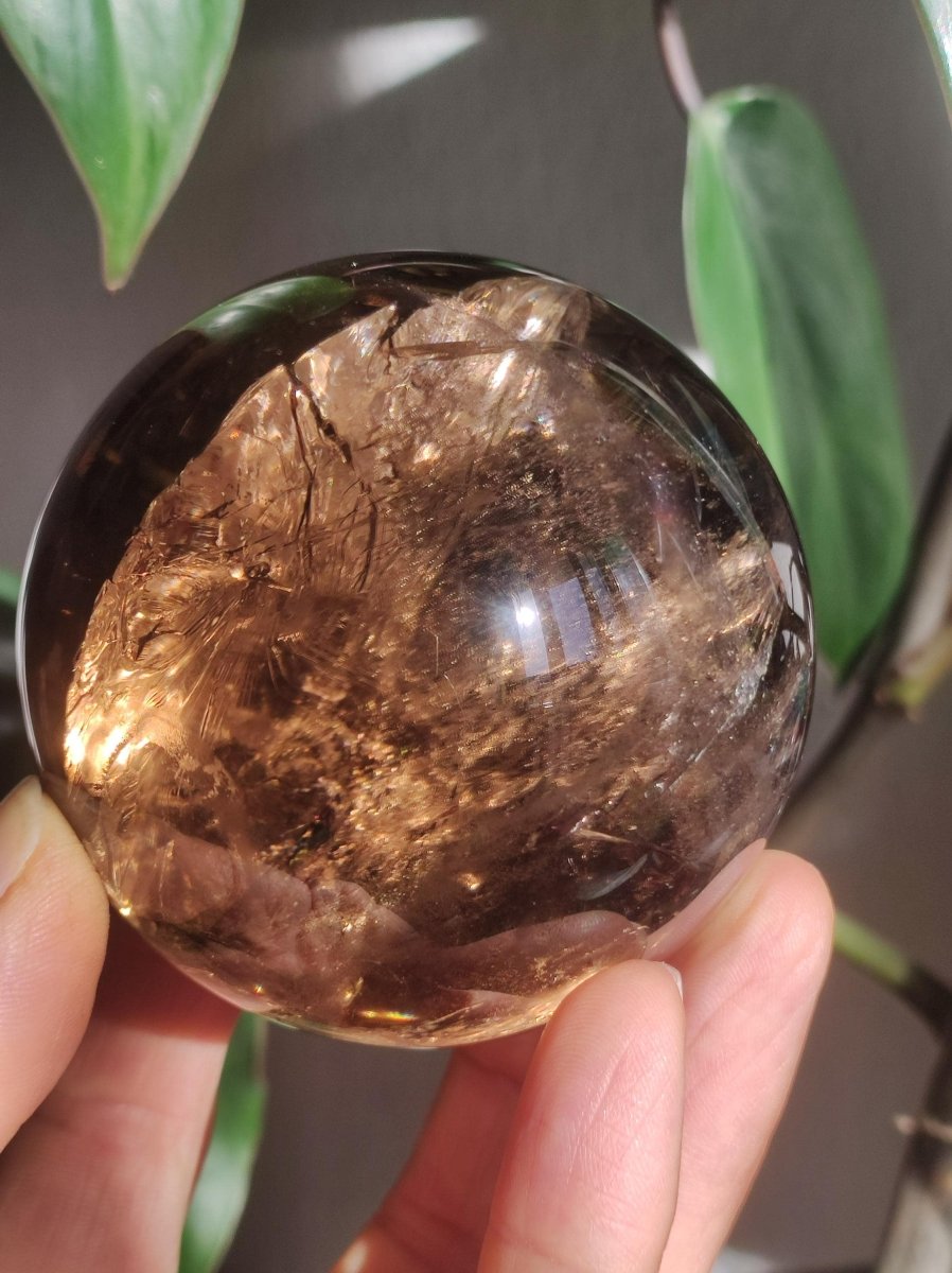 XL Rauchquarz AAA Smokey Quarz Regenbogen Magische Edelstein Sammler Kugel Deko Sphere Kristall Heilstein Meditation Rarität Besonders Groß - Art of Nature Berlin