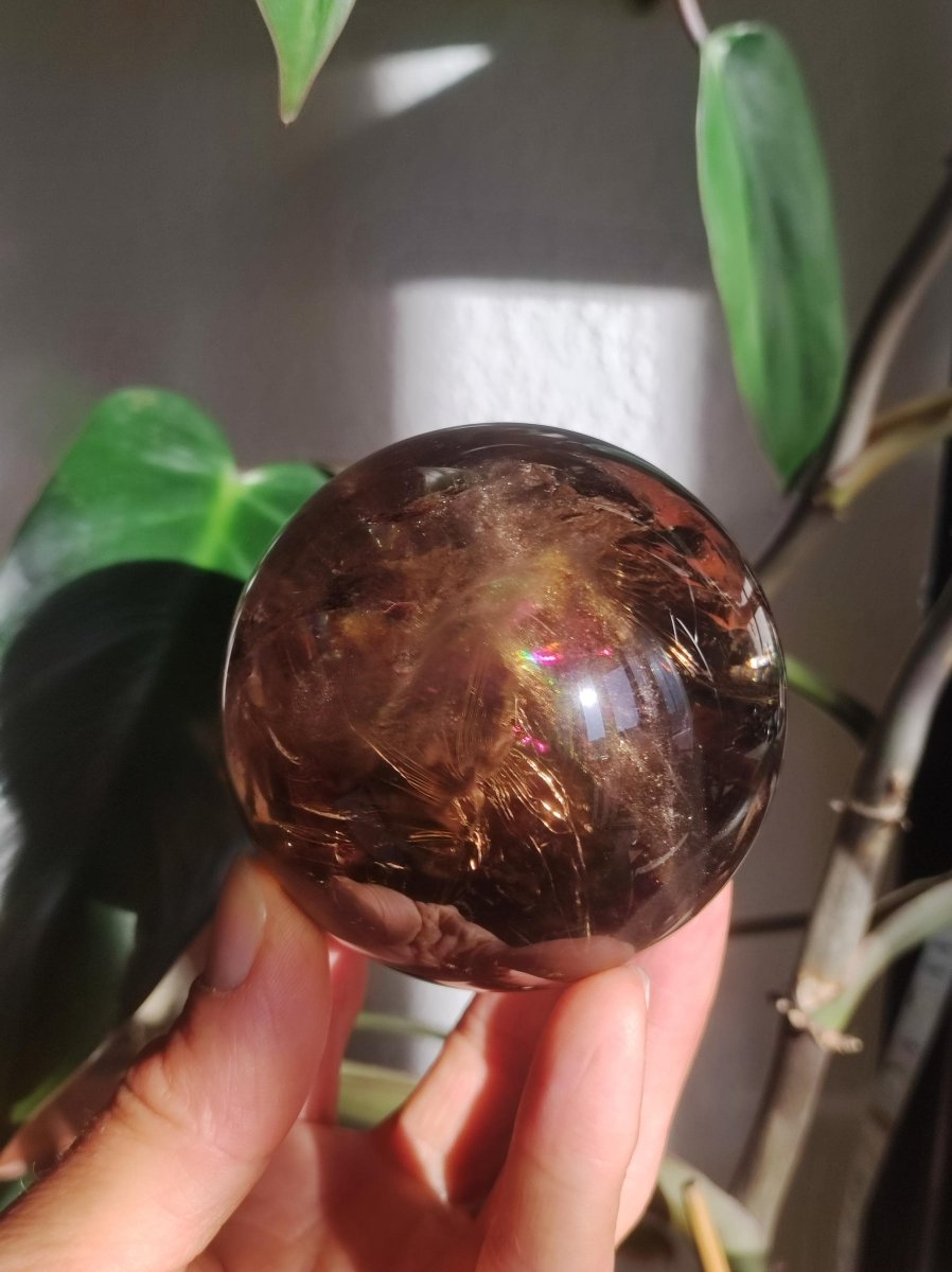 XL Rauchquarz AAA Smokey Quarz Regenbogen Magische Edelstein Sammler Kugel Deko Sphere Kristall Heilstein Meditation Rarität Besonders Groß - Art of Nature Berlin