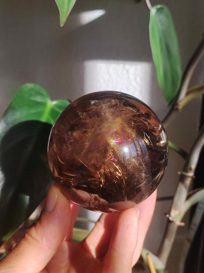 XL Rauchquarz AAA Smokey Quarz Regenbogen Magische Edelstein Sammler Kugel Deko Sphere Kristall Heilstein Meditation Rarität Besonders Groß - Art of Nature Berlin